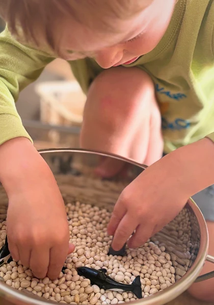 Mateřská škola s prvky Montessori pedagodiky MŠ Svojí cestou